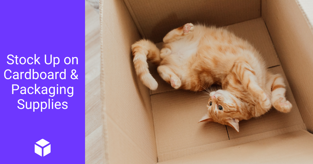 Orange kitten rolls around in a cardboard box