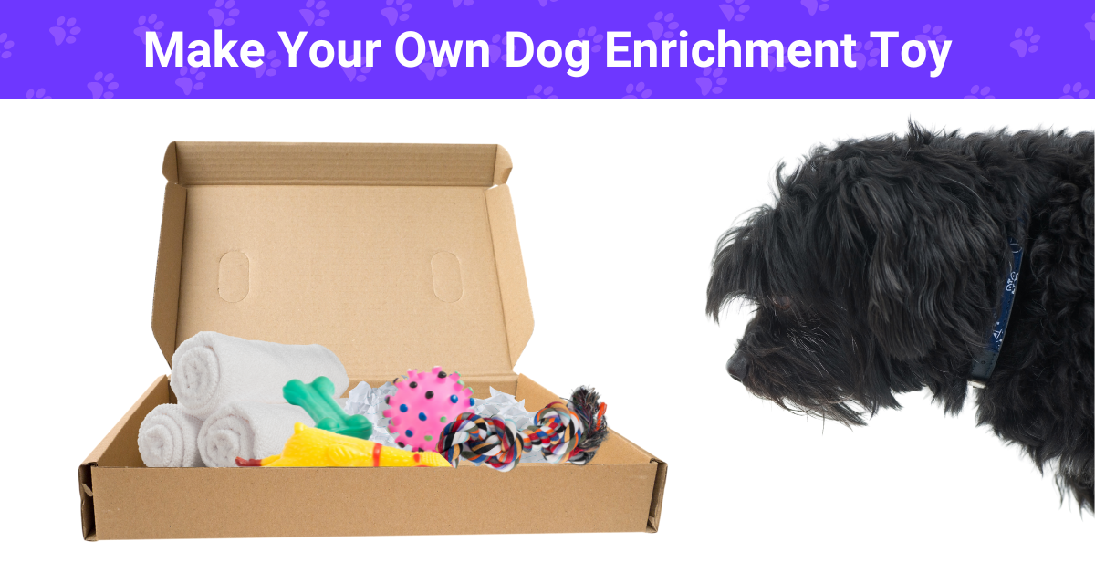 Make Your Own Dog Enrichment Toy