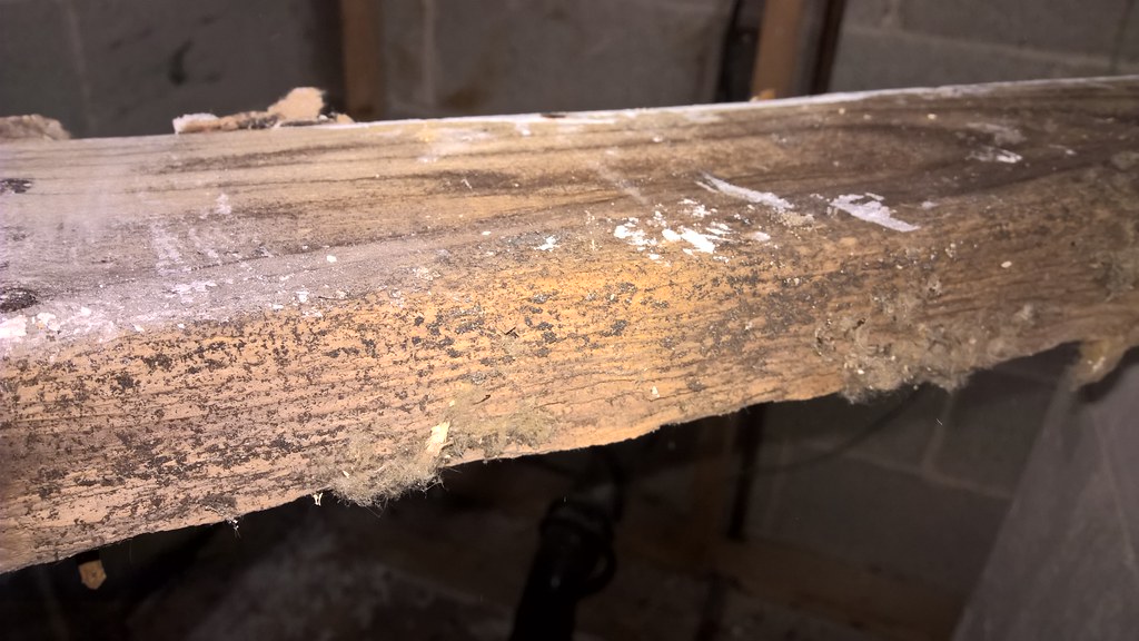 moldy pallet wood beam